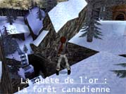 La quête de l'or : La forêt canadienne - Voir l'agrandi ...