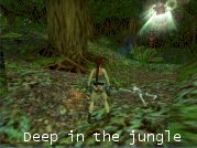 Deep in the Jungle - Voir l'agrandi ...
