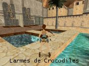 Larmes de Crocodiles - Voir l'agrandi ...