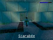 Scarabée - Voir l'agrandi ...
