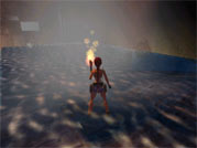 The Torch